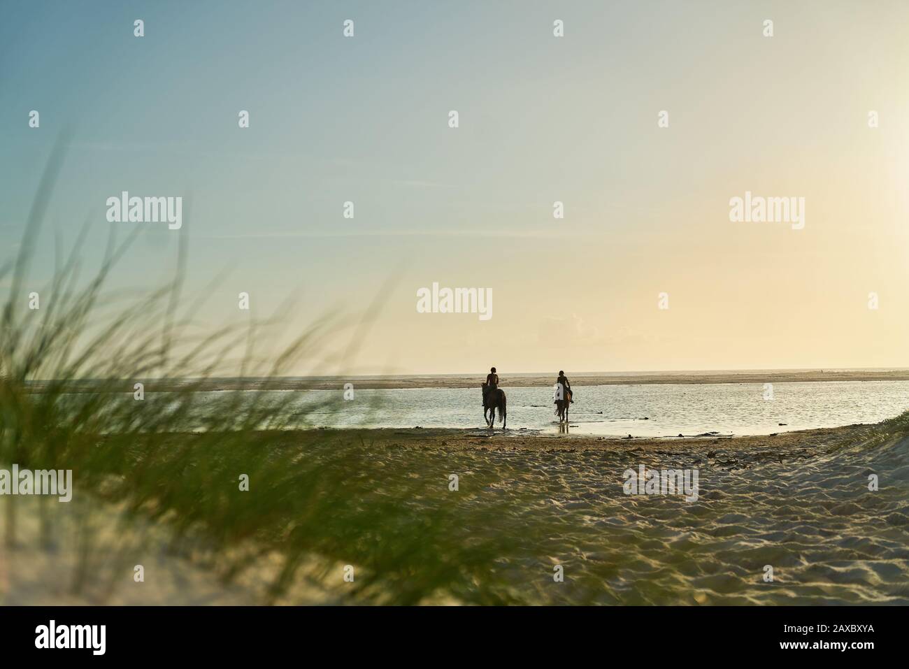 Frauen reiten bei Sonnenuntergang am ruhigen Meeresstrand Stockfoto