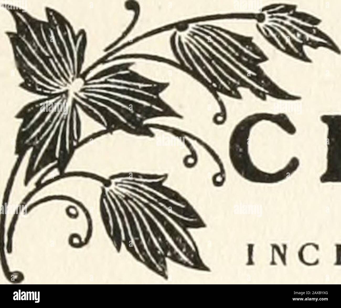 Eine Aufzeichnung der Widmung des Denkmals auf Dorchester Heights, South Boston, das vom commonwealth als Denkmal für die Evakuierung von Boston, 17. März 1776, vom britischen Troopsmarsch 17. März 1902 errichtet wurde. House;Messengers Francis Steele, Sidney Holmes, Charles H. Johnson, EdwardC. Cook und James P. Clair. Vierzehnter Wagen - Vorsitzender James Doyle vom Vorstand von Aldermen, Präsident Arthur W. Dolan vom Common Council, City Messenger Edward J.Leary. Die nächsten Kutschen enthielten Mitglieder des städtischen Regierungskomitees: -aldermen Charles H. Stattery, Michael W. Norris; Ratsherren WilliamP. Hic Stockfoto