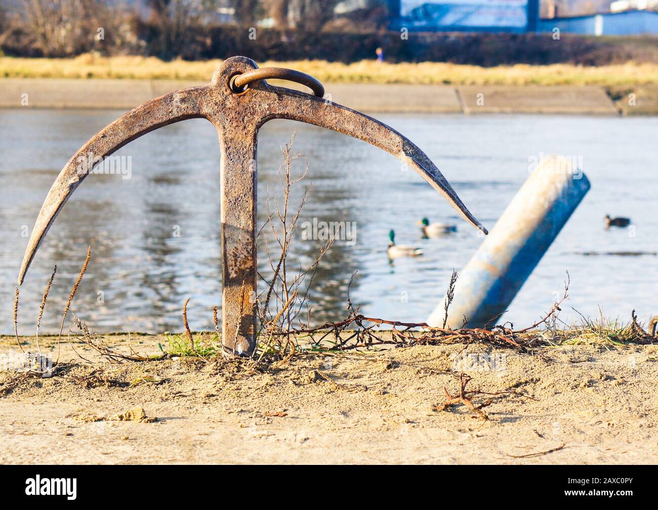 Metallanker nahe dem Ufer eines kleinen Sees mit Enten schwimmen darin im Park Stockfoto
