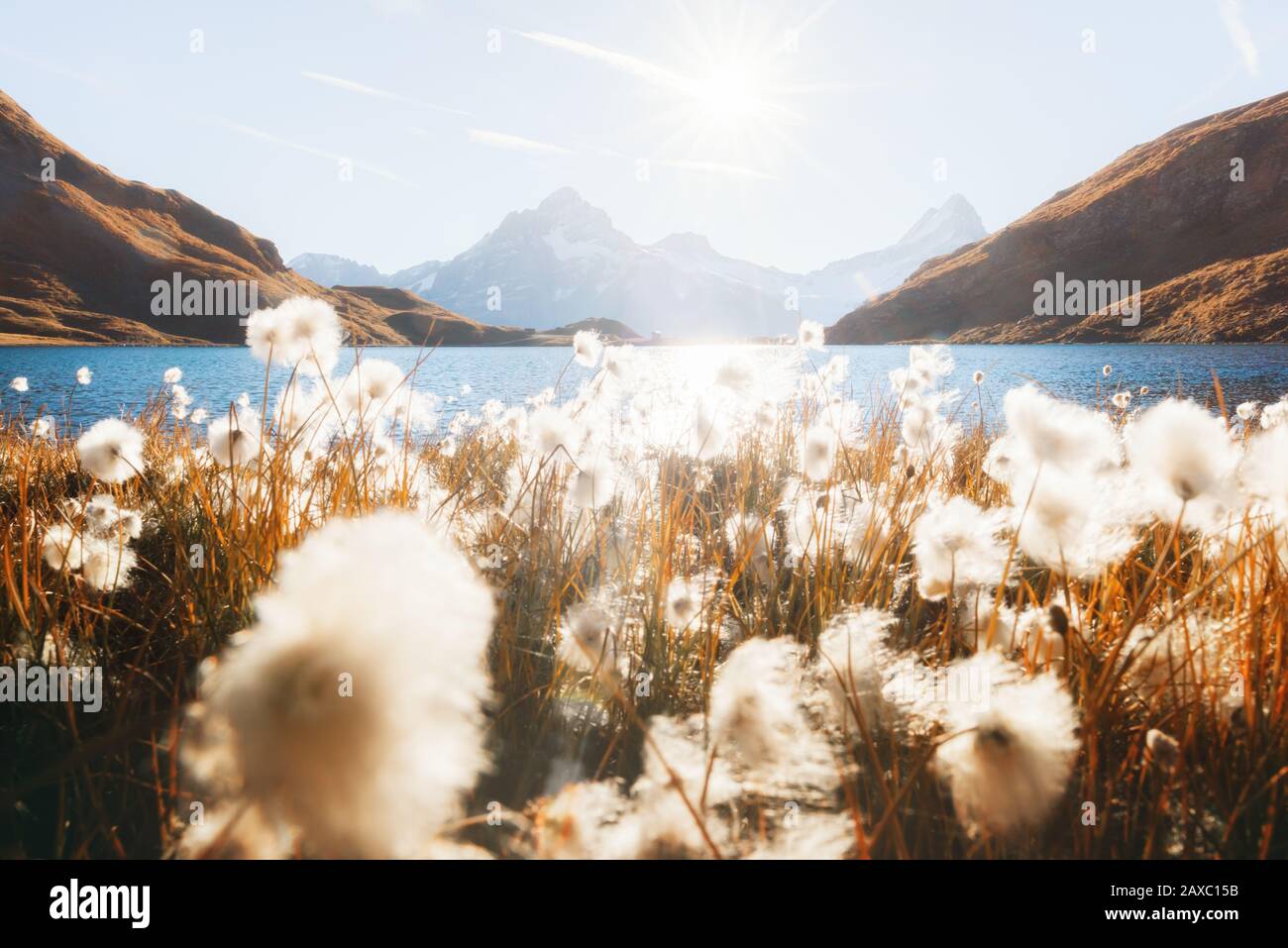 Malerischer Blick auf den See Bachalpsee in den Schweizer Alpen. Tal von Grindelwald, Schweiz. Landschaftsfotografie Stockfoto