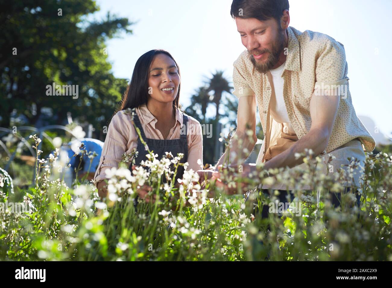 Ein Paar, das sich im sonnigen Garten zu Blumen neiht Stockfoto