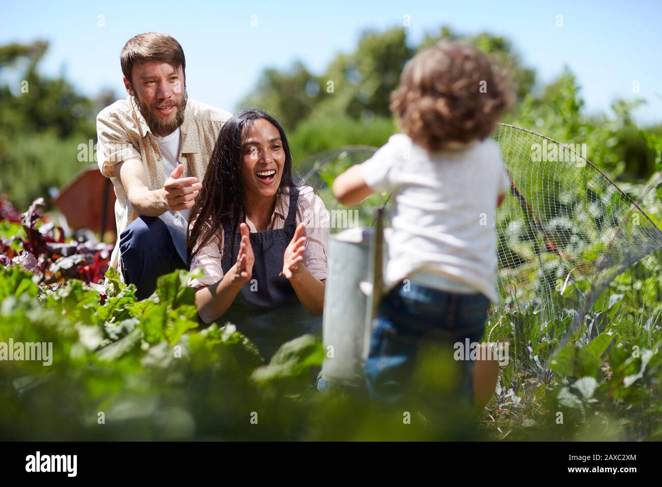Junge Familie im sonnigen Gemüsegarten Stockfoto