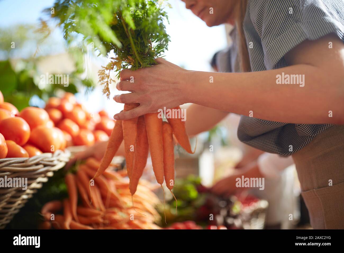 Frau, die einen Haufen Karotten auf dem Bauernmarkt hält Stockfoto