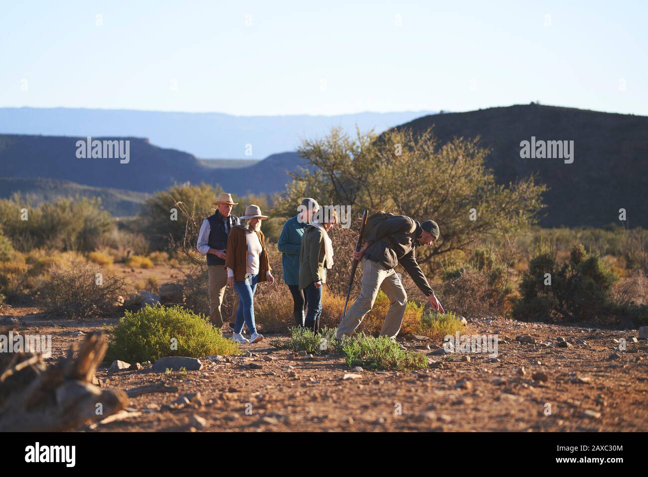 Safari-Tour-Guide erklärt Pflanzen für die Gruppe Südafrika Stockfoto