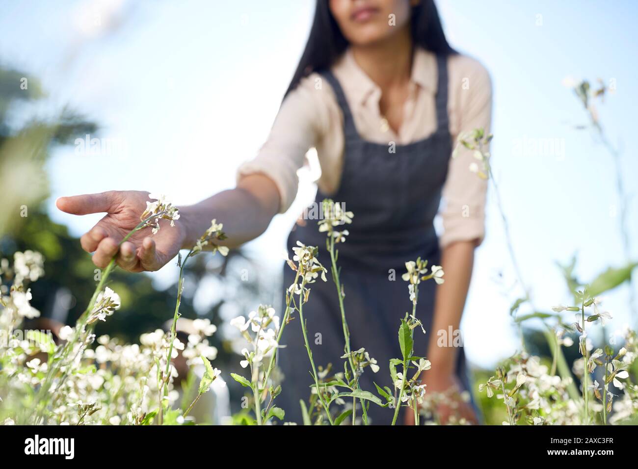 Frau im Garten, weiße Blumen im sonnigen Garten berühren Stockfoto