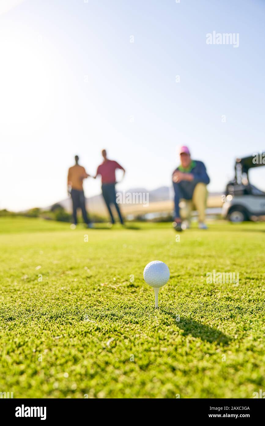 Schließen Sie den Golfball auf dem T-Shirt im sonnigen Gras Stockfoto