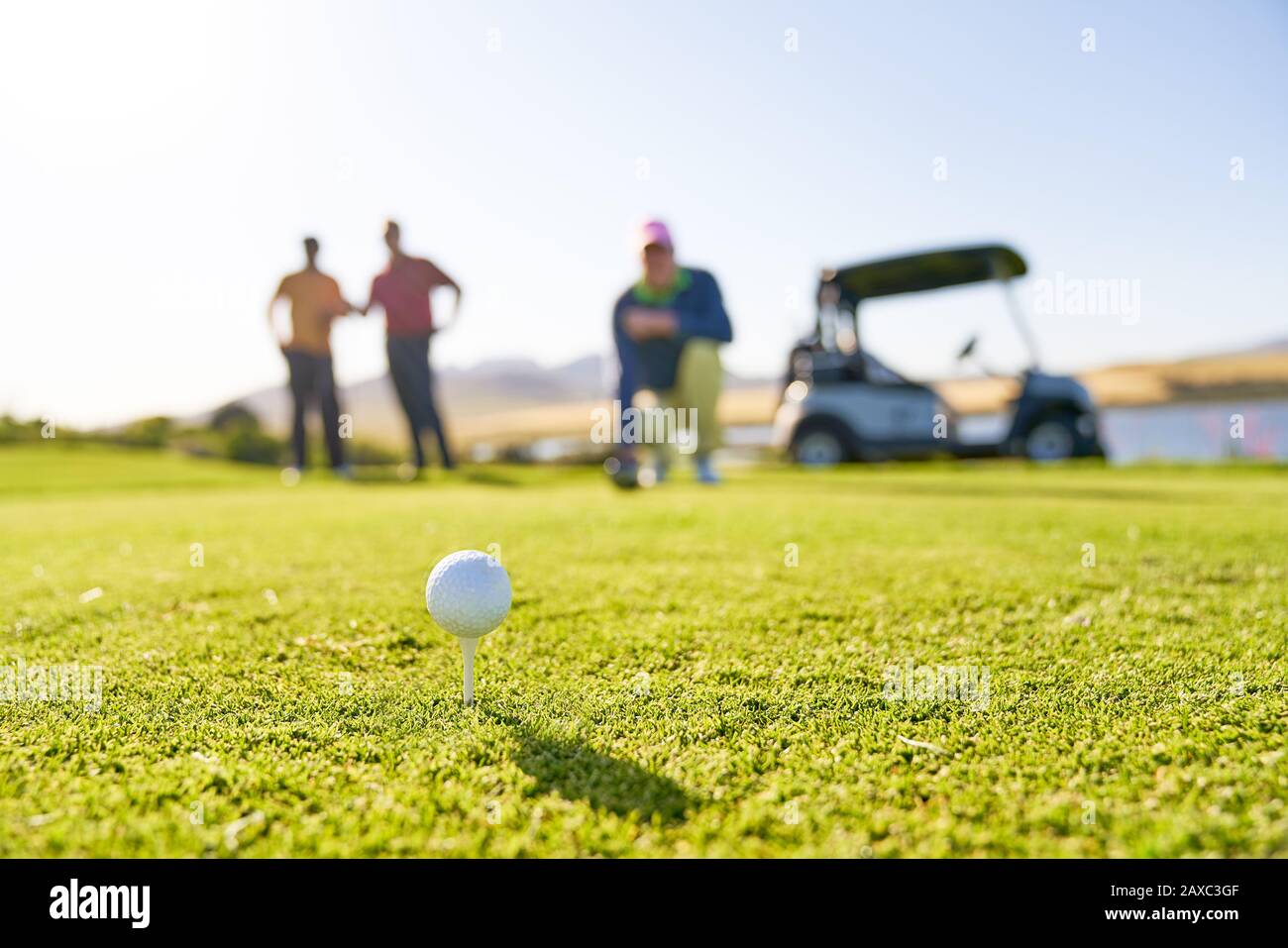 Golfball auf T-Shirt im sonnigen T-Stück Stockfoto