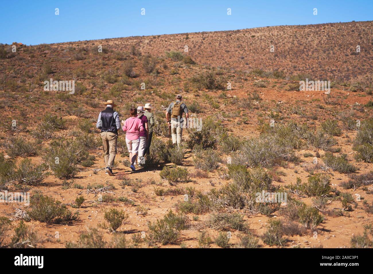 Safari Tour Guide führende Gruppe entlang sonnigem Grasland Südafrika Stockfoto