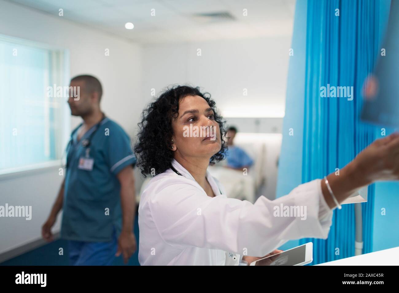 Fokussierter weiblicher Arzt, der im Krankenhauszimmer arbeitet Stockfoto