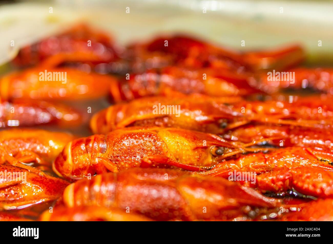 Nahaufnahme von köstlichen gebackenen Krebsen Stockfoto