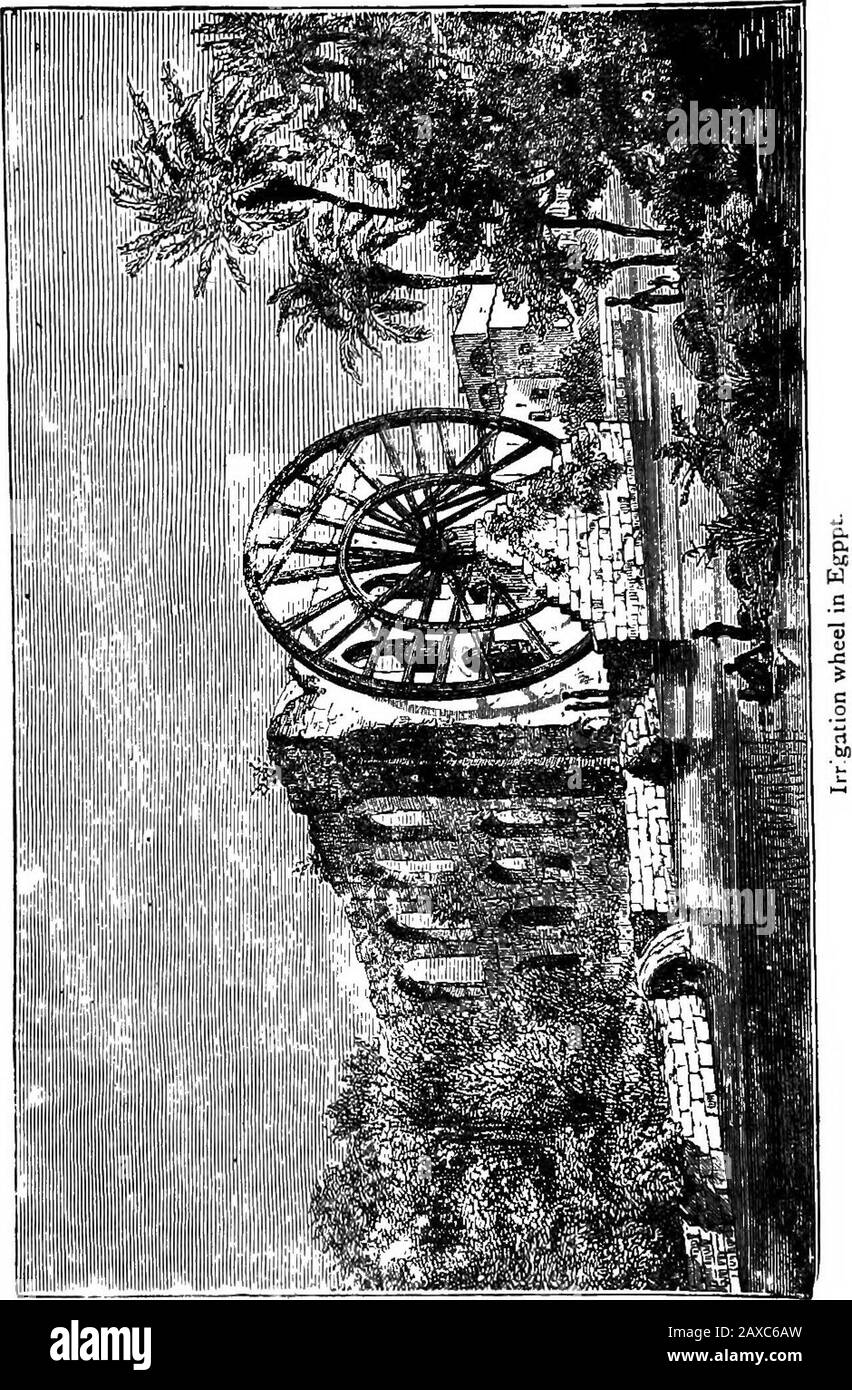 Wissenschaftliche Amusements . Wasser als Einheit. Substanz. SpezifizGravity. 1 Substanz. SpeciricGravity. Substanz. Spezifisch.Schwerkraft.. Platinum. 21-5 Eisen. 779 Wasser IOOO Gold. 19-5 Zinn. 7-29 Meerwasser. 1-026 Quecksilber i359 j Granit 2-62 Regenwasser I-001 Ltad . 11-45 1 Eiche Holz. 077 Eis. •916 Silber.. IO5o; Cork. 0-24 Äther. 0-723 Kupfer 8-96 Milch. I 032 Alkohol 0-793, aber wir haben die Verwendung von Wasser keineswegs erschöpft.Hydrodynamics, der alternative Begriff für Hydraulik, umfasst die Berücksichtigung vieler Formen von Wasserrädern, von denen die meisten als Mühlräder unter Schuss sind oder über- Stockfoto