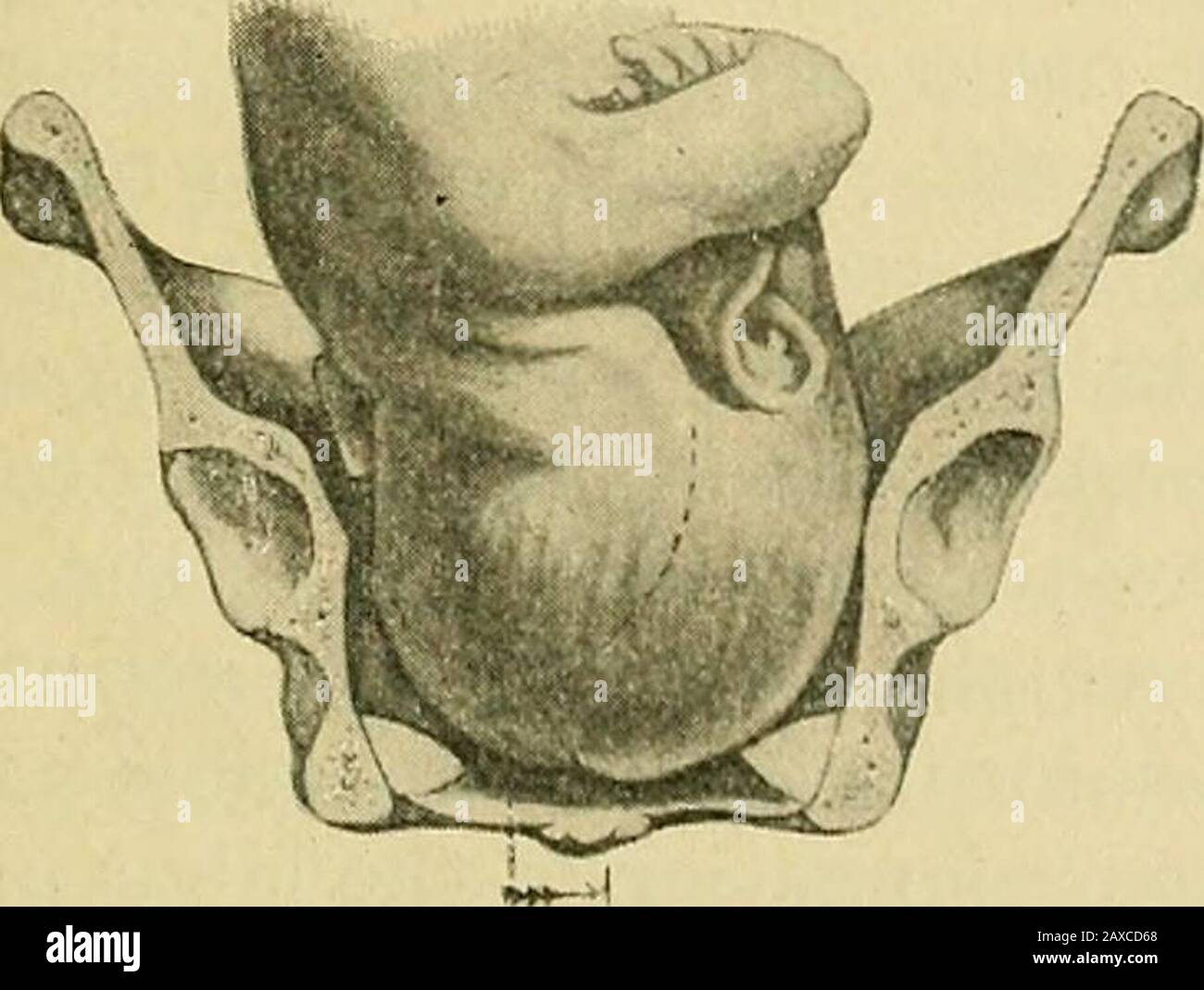 l p stockfotos und bilder kaufen seite 340 alamy