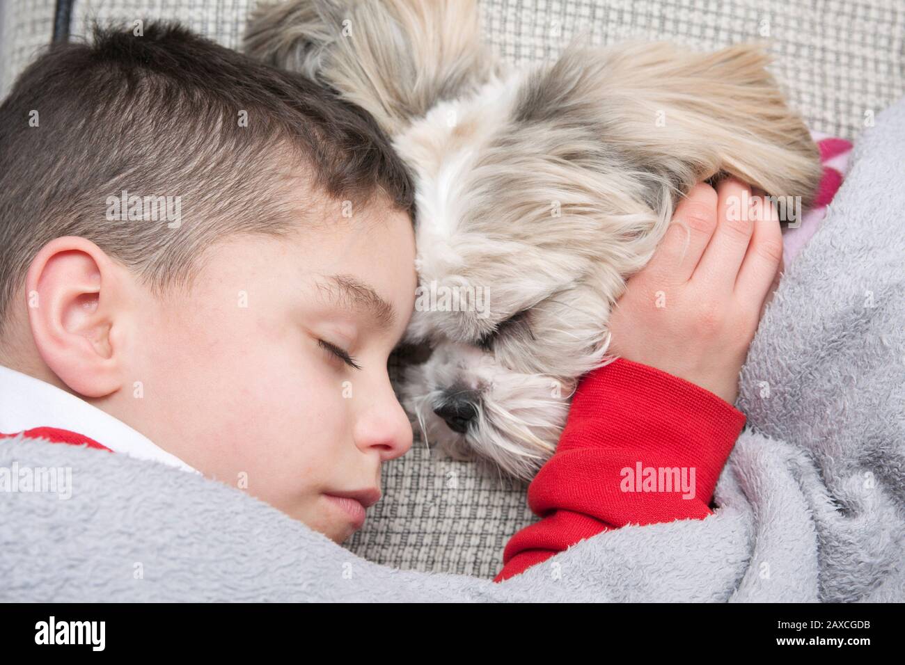 kleiner Junge mit Shih Tsu Welpen schlafen Stockfoto