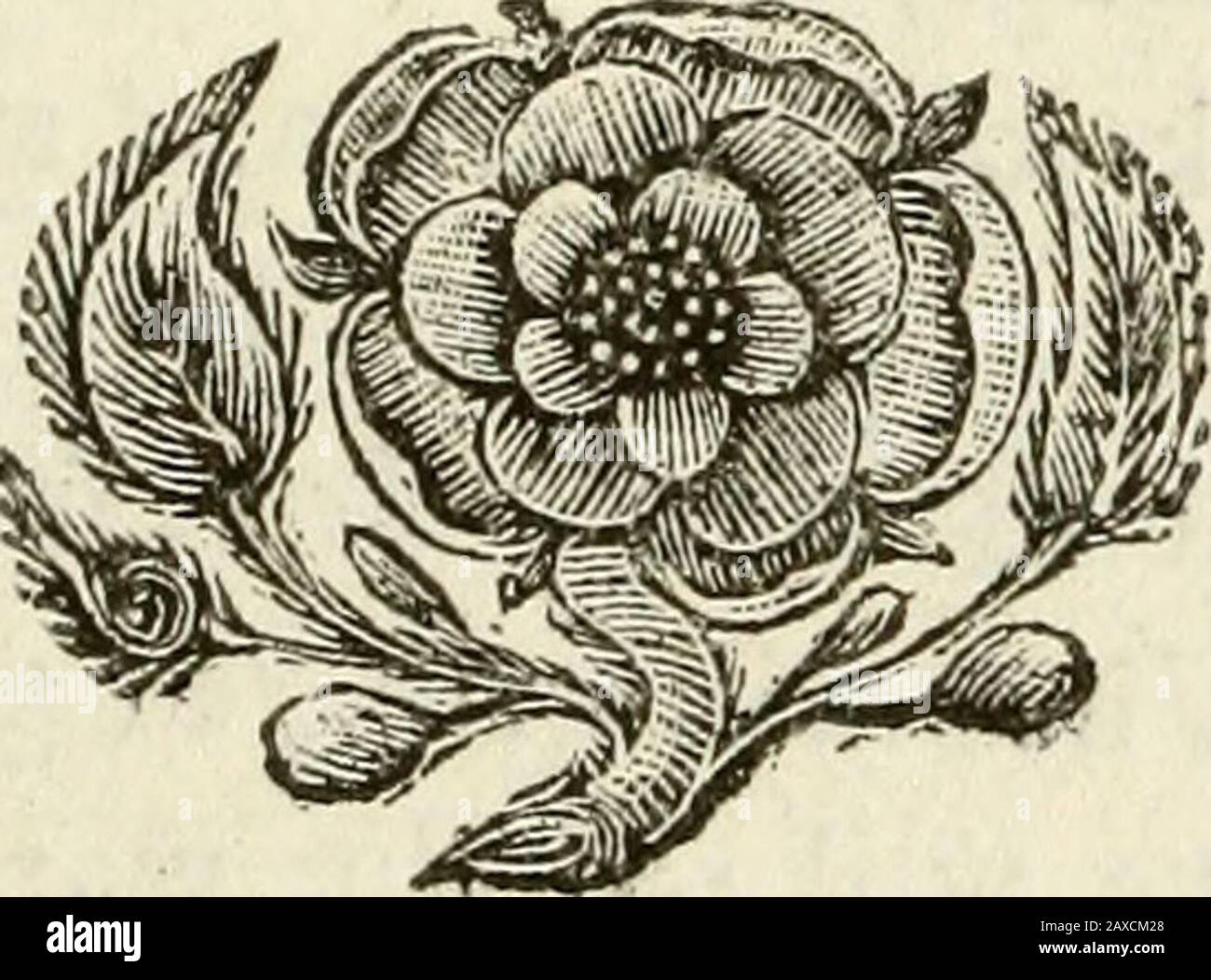 Orpheus Caledonius: Oder, EINE Sammlung von schottischen Liedern. . 3 Scharfschaltung 3=f= J?  1 -K I - •&gt;    1 1 Dienstmädchen bevorzugt seinen wajidriie Schatten. ^m & i m "i? ? Orpheus Caledonius. ID sei auch ein Mifer, noch giveAn Alms, um einen Gott am Leben zu halten.Oh Fmile nicht so, meine schöne Messe, Auf den kalten Blicken, dass lifelefs Air, ihm Preise whofe Bofom mit Feuer, Mit eifriger Liebe und Foft Defire. TIS True, Thy Charms, O Powerful Maid, To Life can bring the filent Shade:Thou Canft Furpafs the Painters Art*;And real Warm and Flames impart.But oh! Es kann mich lieben, Ive immer lovd, und lovd aber dich: Dann, Charmer, Stockfoto