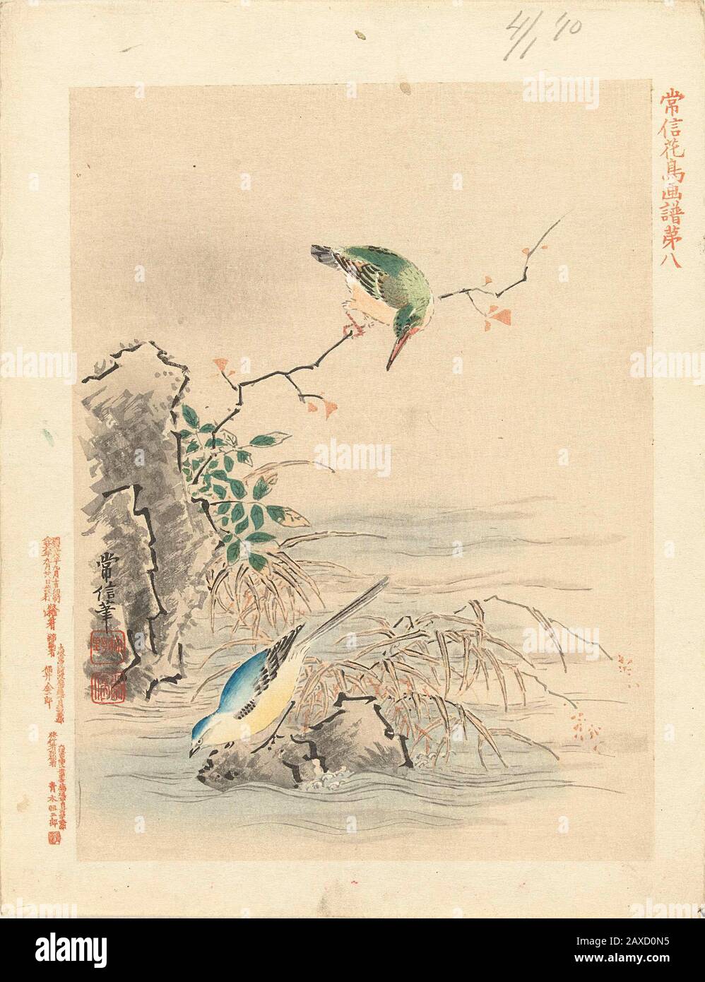 'IJsvogel kijkend naar vogel bij Wasser; Druck; 1893-09; 1893-09; ' Stockfoto