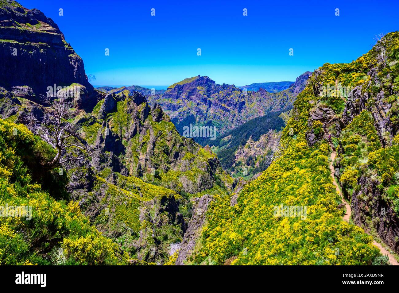 Schöner Wanderweg von Pico do Arieiro nach Pico Ruivo, Insel Madeira. Fußweg PR1 - Vereda do Areeiro. Am sonnigen Sommertag über den Wolken. Por Stockfoto