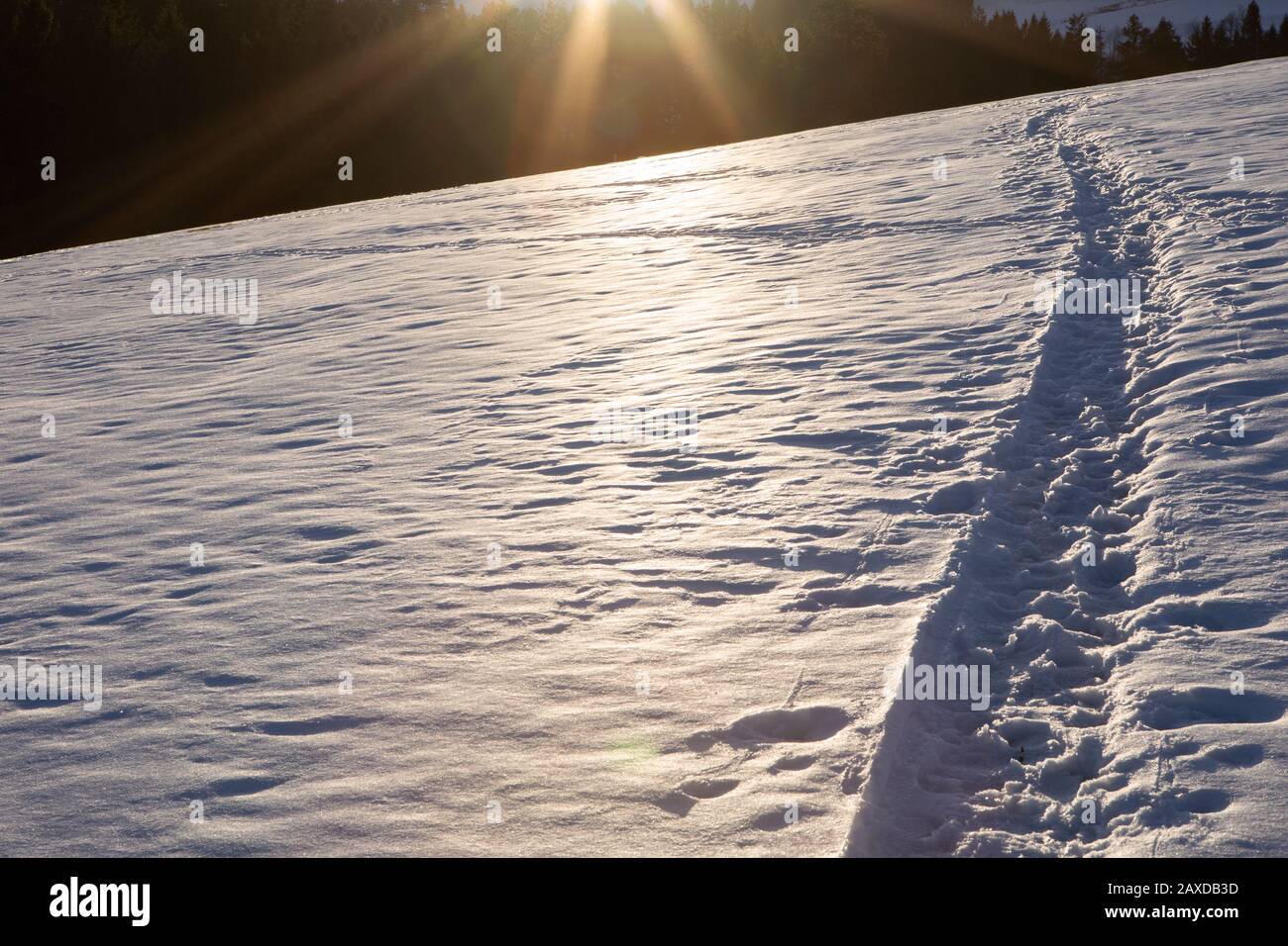 Strecke im tiefen Schnee, Pfad auf leerem Feld mit Schnee bei Sonnenuntergang. Winterhintergrund. Gefrorene Landschaft. Stockfoto