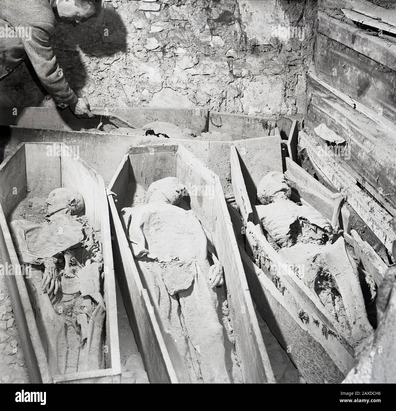 1950er Jahre, historische Begräbnisstätte... ein Mann, der alte Leichen in offenen Holzsärgen in Irland betrachtet. Stockfoto