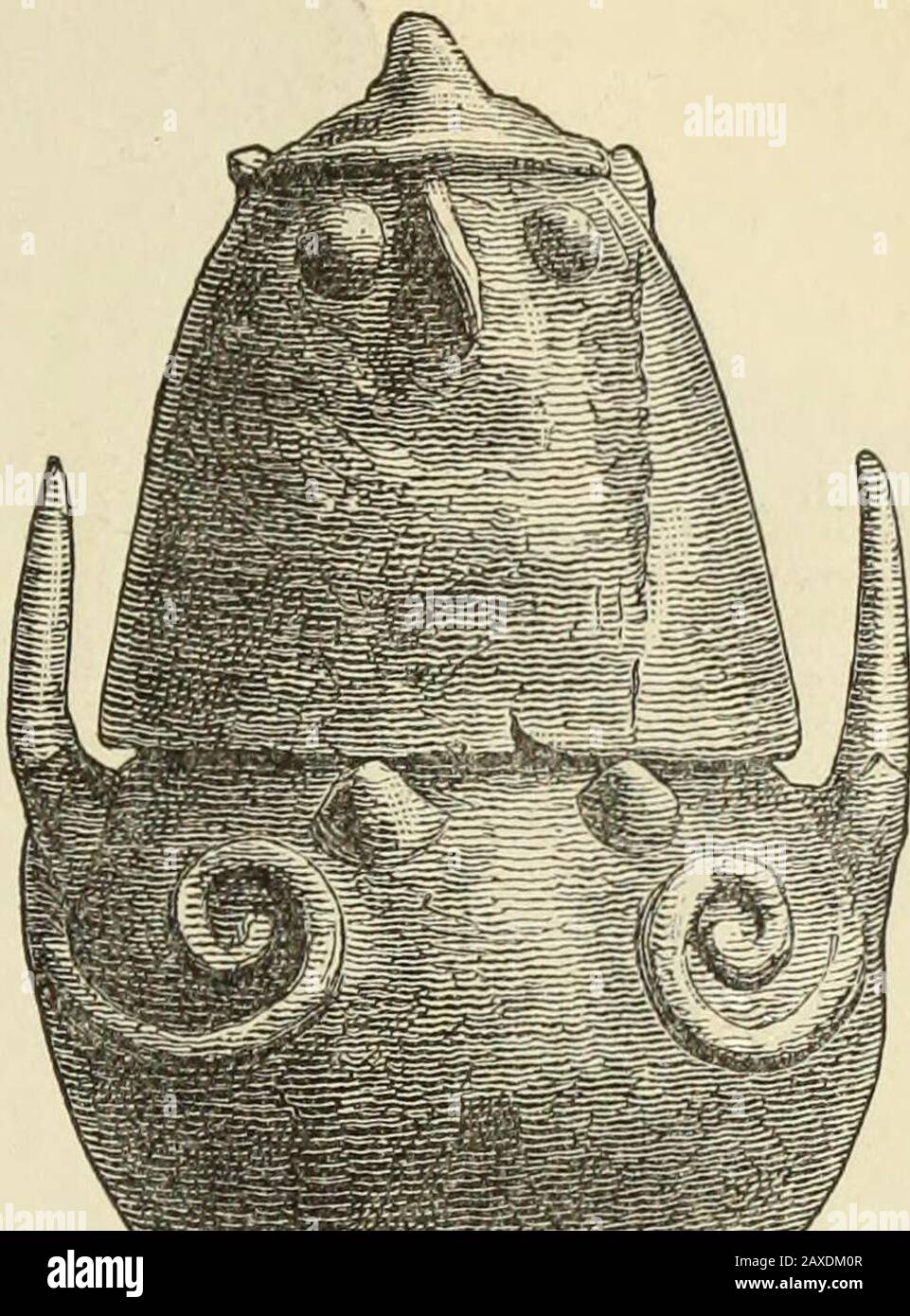 Ilios; die Stadt und das Land der TrojansDie Ergebnisse von Forschungen und Entdeckungen auf dem Gelände von Troja und in der ganzen Straße in den Jahren 1871-72-73-78-79, einschließlich einer Autobiografie des Autors . Nr. 230. Fragment einer Vase.(Halbe tatsächliche Größe. Tiefe, 26 Fuß). JSO. 231. Vase wih die Eigenschaften von Frau und Bedecken Sie mit Eulen Kopf. (Die Vase wurde in 13 gefunden, die Abdeckung in 26 Fuß Tiefe. 1:3 tatsächliche Größe.) aus der auf beiden Seiten eine spiralförmige Ornamentik im Reliefbild hervorgeht.Der Deckel ist auch handgefertigt, von einer leuchtend-gelben Farbe und Hasa-Griff der üblichen wastförmigen Form.2 Professor Sayc Stockfoto