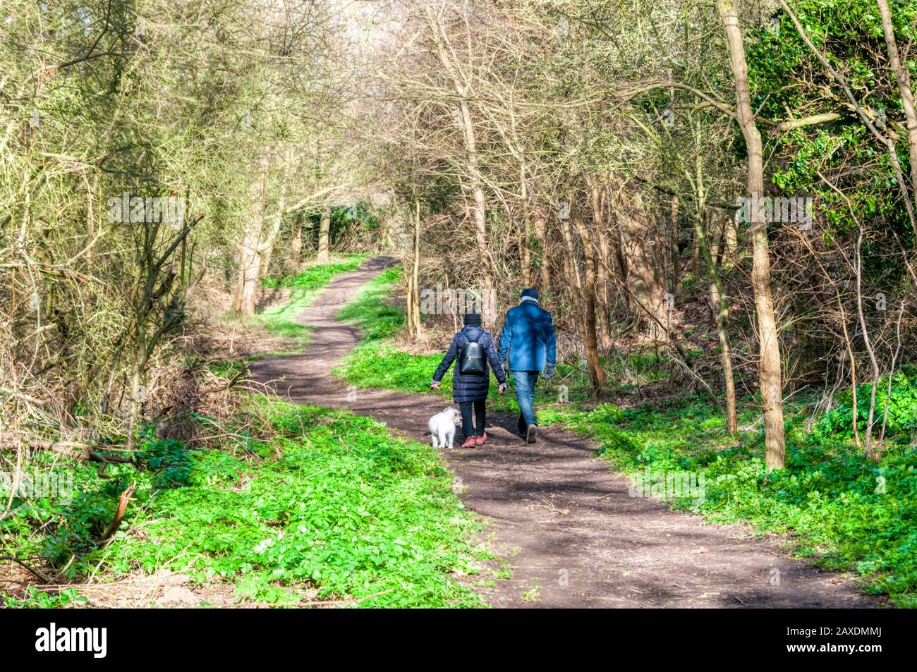 Paare, die ihren Hund auf einem bewaldeten Weg an einem hellen Februartag gehen. Stockfoto