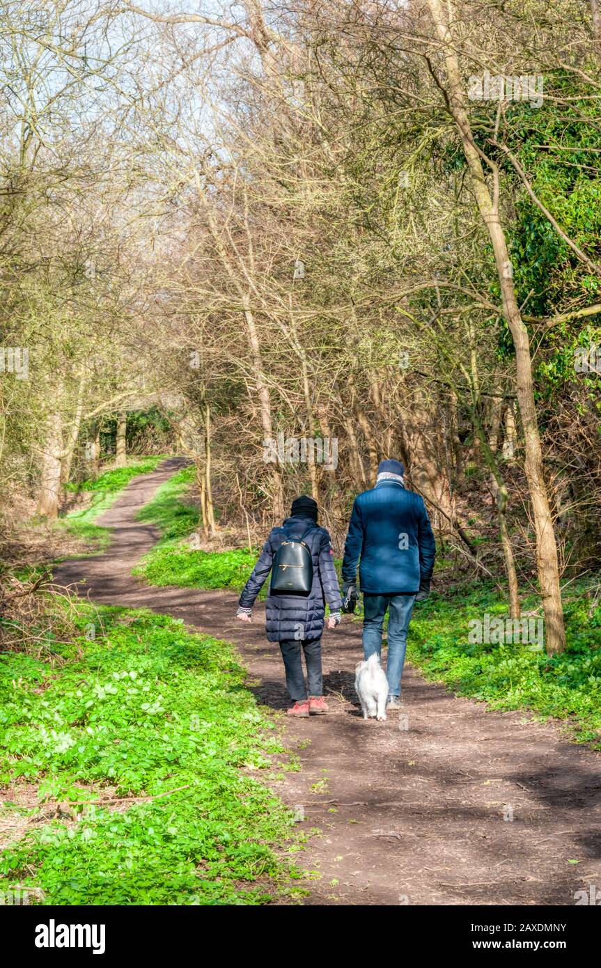 Paare, die ihren Hund auf einem bewaldeten Weg an einem hellen Februartag gehen. Stockfoto