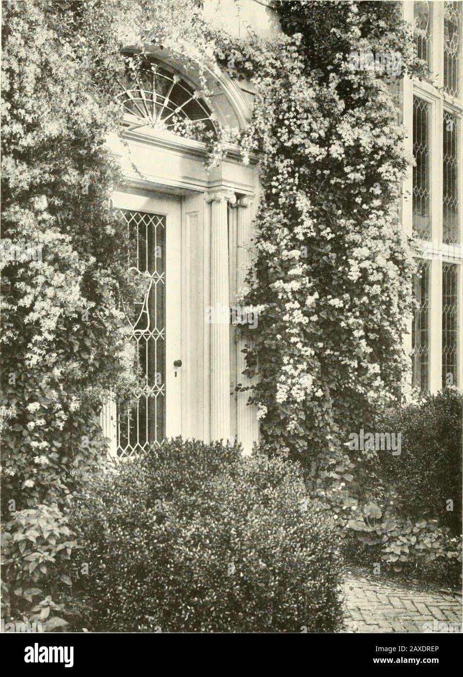 Das bewohnbare Haus, sein Garten. Angemessene ANPFLANZUNG des LOR AGARDEN TÜRHAUSES von Herrn James C. Breese, in Southampton, Long Island.McKim, Meade und White, Architekten %^^^^^^^^^^^^-^^-^^^^^^^^^^^^^^^^k^^^^^M DAS BEWOHNBARE HAUS Seine Qarden hy Ruth Dean L^A fid scape Ai^chitect h c i n g V o L u M E 2 of the L i V a hie House .V c r i c se (111 (? D h -A V "i ci r 6/J/ h // /? R // ^ Moffat ard am/ Coinpatix T20 West J2nd Street, Ne- ^ork M C MXVI I [^^ ^^^^^^^^^^^^^-^^^l^^^l^^^^^^^^^l^livablehousitsg01dean Stockfoto