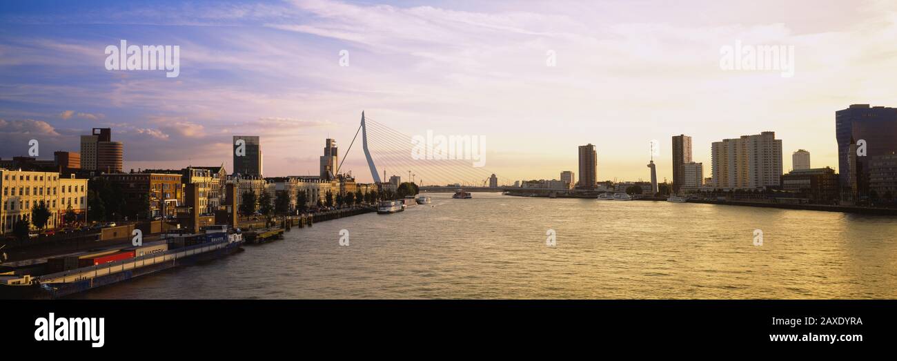Gebäude am Wasser, Rotterdam, Niederlande Stockfoto