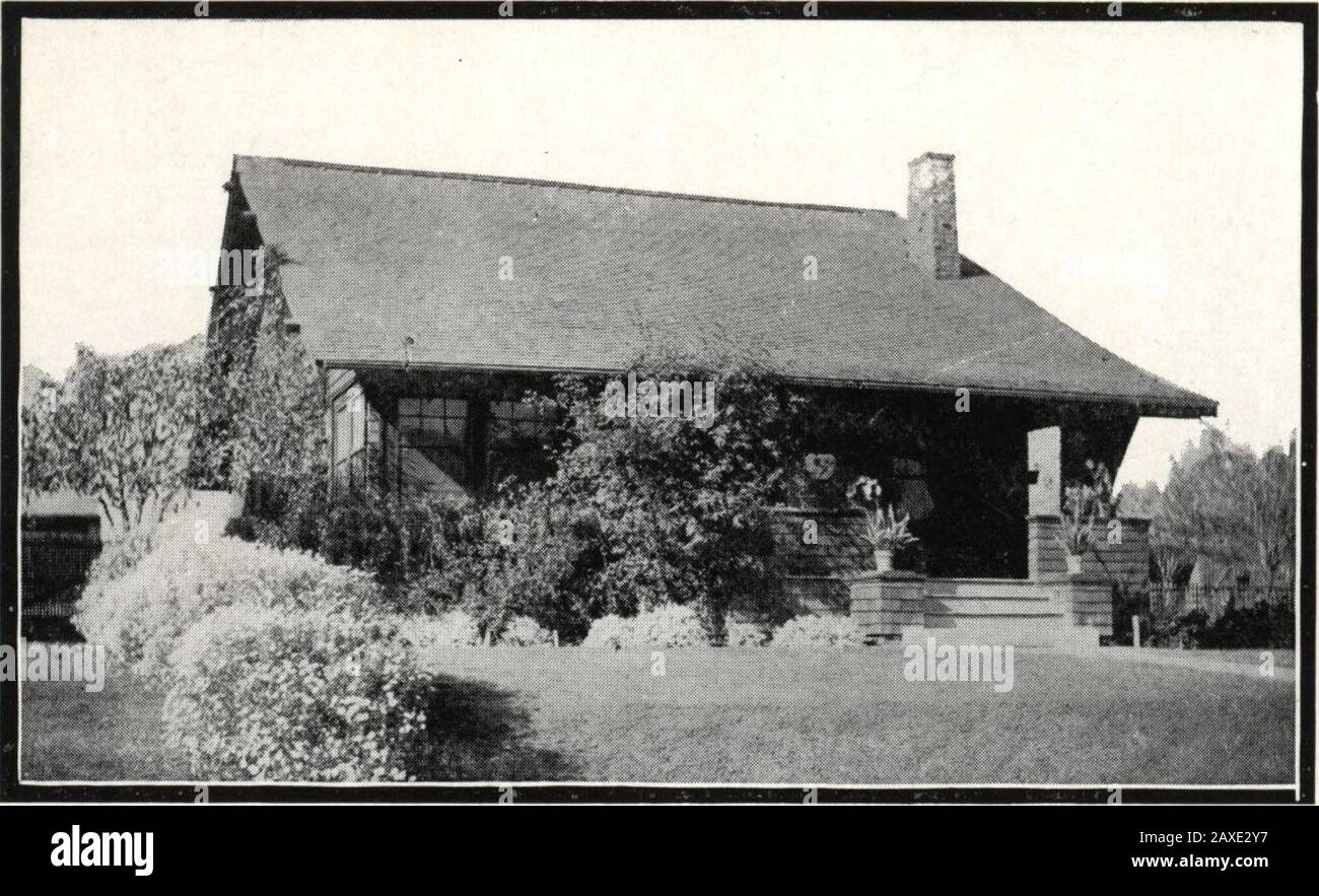 Westküstenbungalows. Schlafzimmer 12 * 12 Veranda. W-8151 Änderungen der Pläne auf Seite 62 Seite 16 E. W. Stillwell y Co., Los Angeles, Kalifornien. Nein. W-816 Das weitläufige Dach dieses Hauses bedeckt eine überraschend große Fläche. Die teilweise eingelassene Veranda und die großen, gut platzierten Fenster mit den schönen Umrandungen machen dieses Haus zu einem attraktivsten Zuhause. Wohn- und Esszimmer sind durch einen breiten Säulenbogen getrennt. Der vordere Raum, der durch eine Schiebetür aus dem Wohnzimmer geschlossen wird, kann Madea-Sonnenstube, -Höhle oder ein Notzimmer sein. Eines der besten Dinge in dieser Plansis, die ha Stockfoto