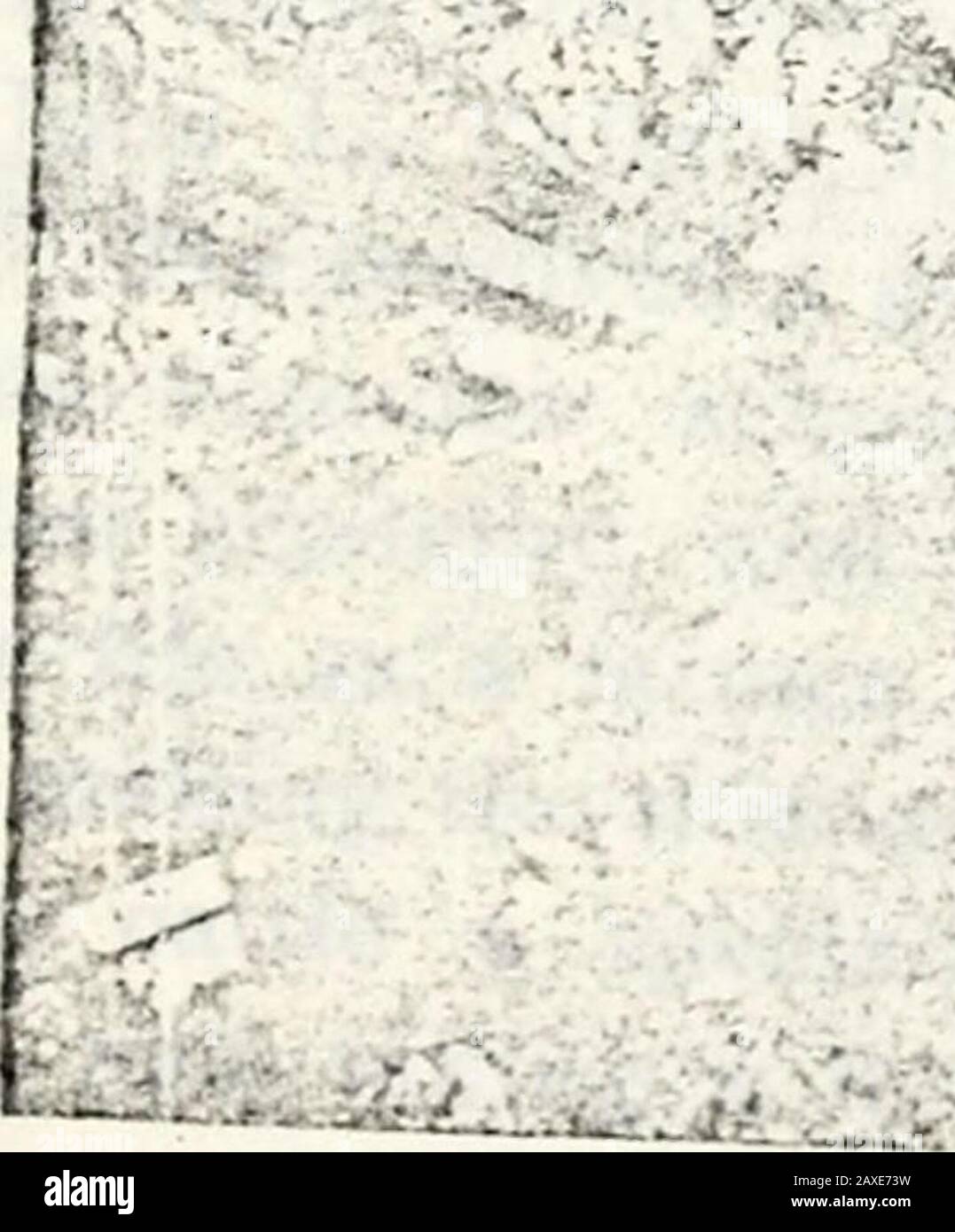 Die Monatszeitschrift Granit : eine Zeitschrift für Literatur, Geschichte und staatlichen Fortschritt . % - . El i? ICH. • - SI rNCOOK. Ein Hon John G. Ta i.t. Kreuz. Er heiratete Eliza E. Down-ing von Kennebunkport, Me. Und sie haben zwei Söhne. John D. und Arthur I.Bourne. Mit altem und jungem Alikehe ist er ein Magnet, der nie versagt, in die Kanzel und aus ihr heraus zu ziehen. Hon. John G. Tallant ist ein Na-tive von East Coueord, einem Sohn des Thelaten John E. Tallaiit, geboren am 2. März 1846. Er erhielt eine gute Ausbildung in den gemeinsamen Schulen und der NewLondon Academy und trat im aktiven Leben als Farmer in East Con-cord ein, was die Anhebung von Pure machte Stockfoto