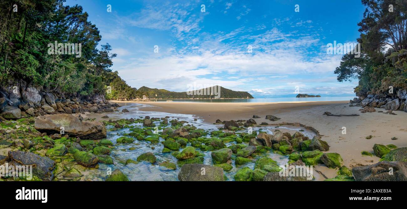 Mit Moos bedeckte Steine am Strand von Stillwell Bay, Lesson Creek, Abel Tasman Coastal Track, Abel Tasman National Park, Tasman, South Island, New Stockfoto