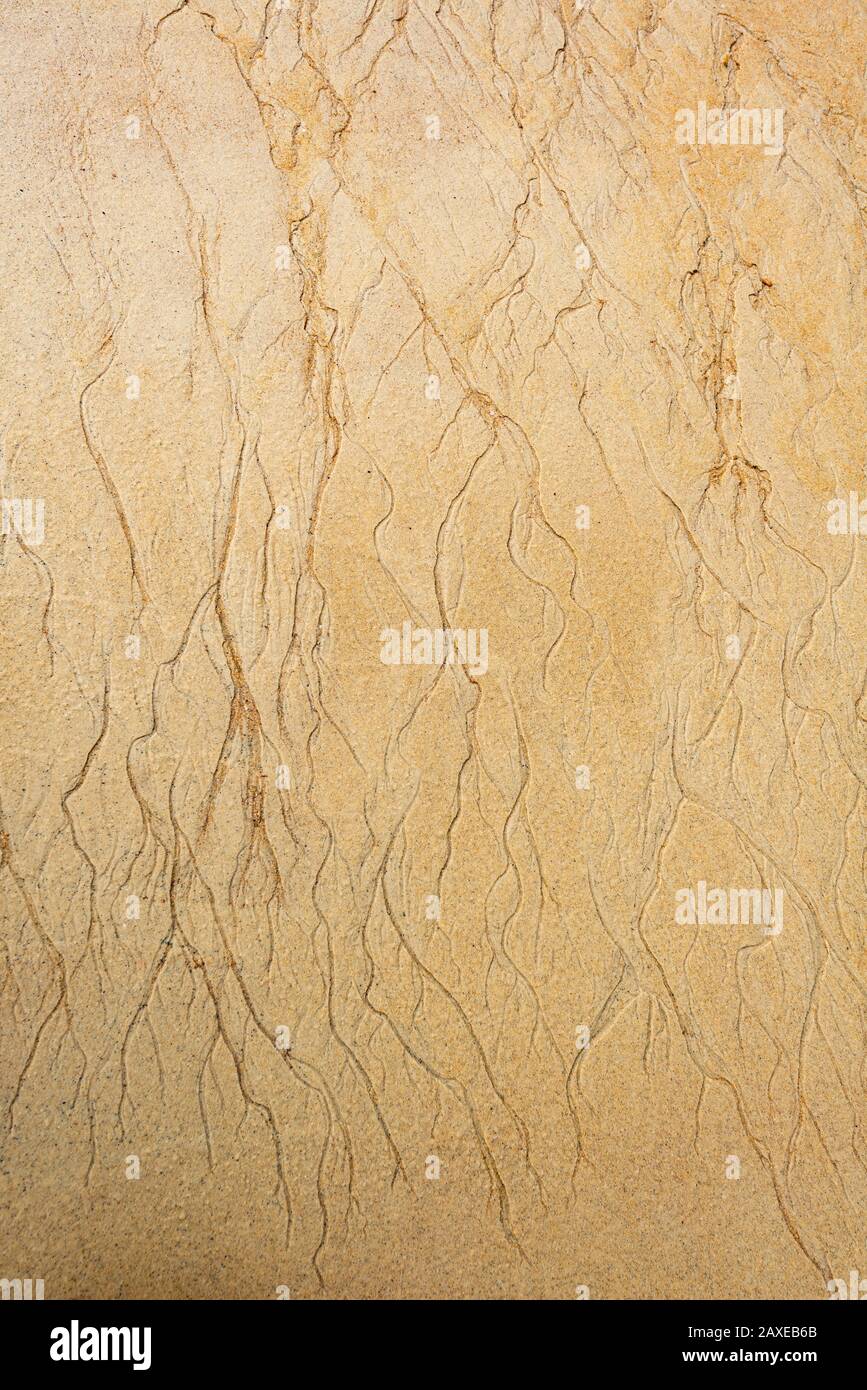 Wellenförmiges Muster durch Wasserstrom im Sand, Strand, Anchorage Bay, Abel-Tasman-Nationalpark, Tasman, South Island, Neuseeland Stockfoto