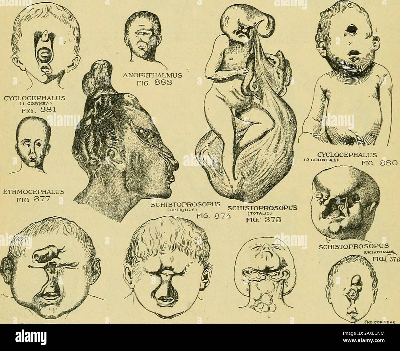 Die Praxis der Geburtshilfe, die für den Gebrauch von Studenten und