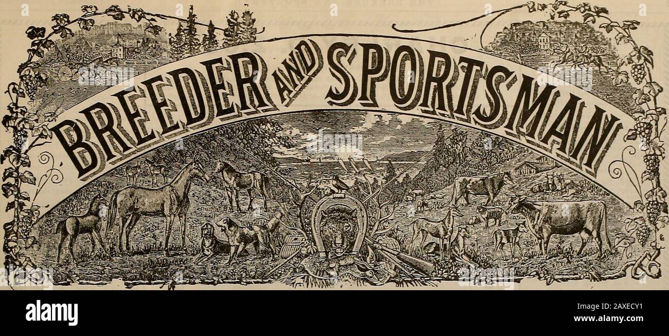 Züchter und Sportler . Winchester :•:•?•:•:•-•-":••:•:•:•:• ••••:•:•:• %?• •*•  •.":":• • •: T:":•.• • •: • •-•:• :•:• •  t. •;•; Wiederholende Schrotflinten und Shotgun Shells gewinnen Den Ersten Platz im Jahr 1908. 96,77 Prozent. Die Interstate Associations Official Seasons Average - das höchste, Das Jemals Aufgezeichnet wurde - von C. G. Spencer aus St. Louis, Mo., Witha Winchester Wiederholt Shotgnn und Winchester Leader und Repeater Shells. Mr. Spencers Gun war die übliche Marke von 27,00 US-Dollar, wie sie von allen Händlern getragen wird. Er schoss auf 11.17-5 Ziele und erzielte 10.815. & ^ FÜR FIELD- und TRAP-AUFNAHMEN Halten Sie Alle Best Records None Just Stockfoto