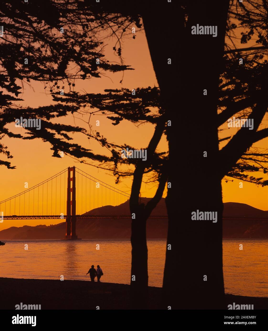 Hängebrücke über Wasser, Golden Gate Bridge, San Francisco, Kalifornien, USA Stockfoto