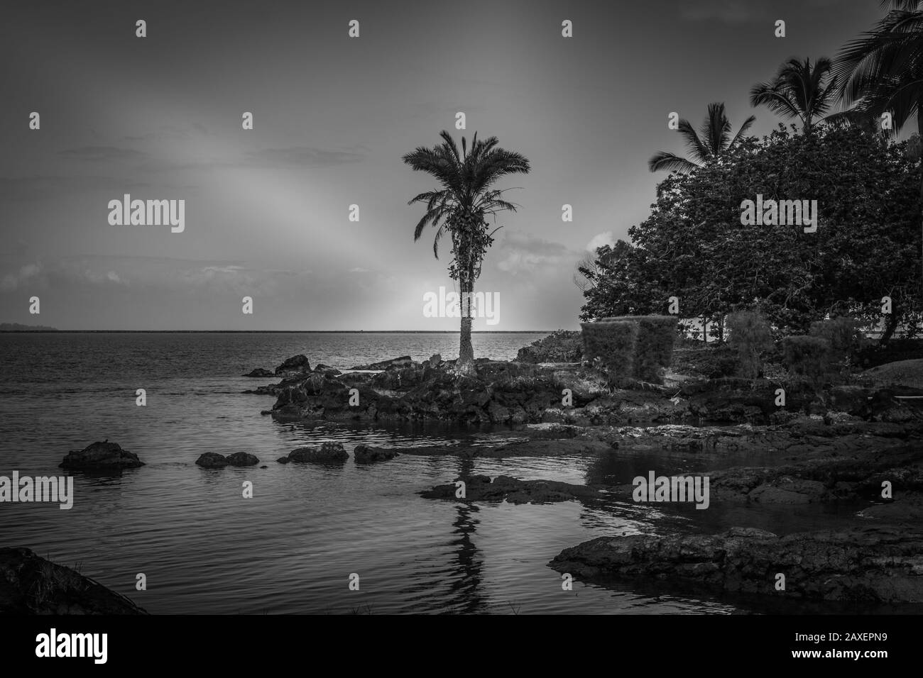 Hilo, Hawaii, USA. - 9. Januar 2012: Schwarz-Weiß-Foto der Küste des Ozeans mit Felsen und Bäumen der Liliuokalani Gärten. Bedeckt mit Sonnenstrahlen PA Stockfoto