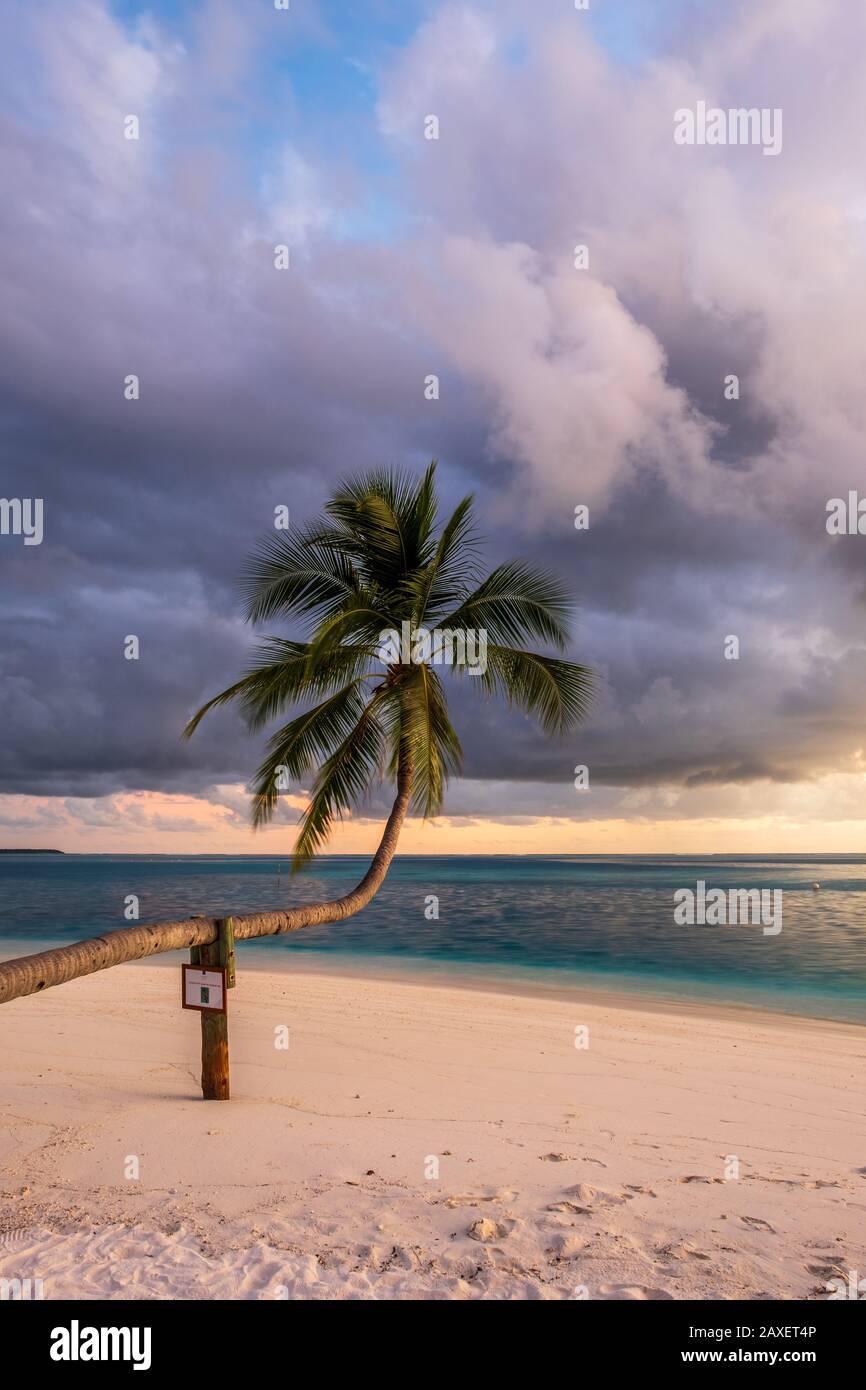 Stürmischer Himmel und eine Palme auf einer tropischen Insel auf den Malediven Stockfoto