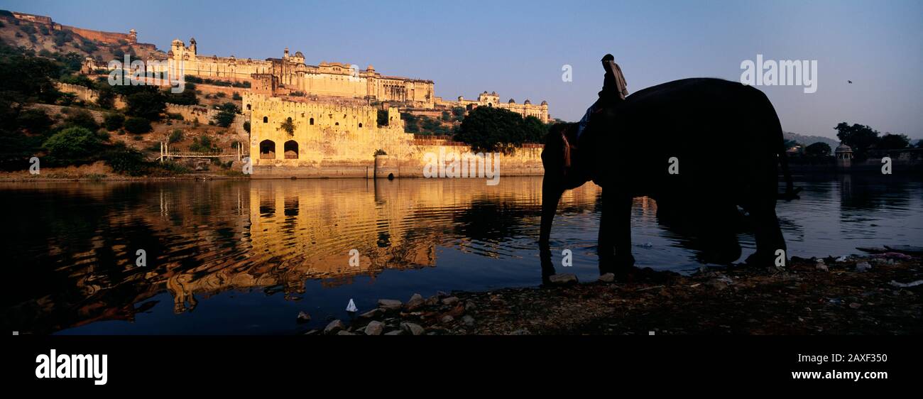 Seitenprofil eines Mannes, der auf einem Elefanten sitzt, Amber Fort, Jaipur, Rajasthan, Indien Stockfoto