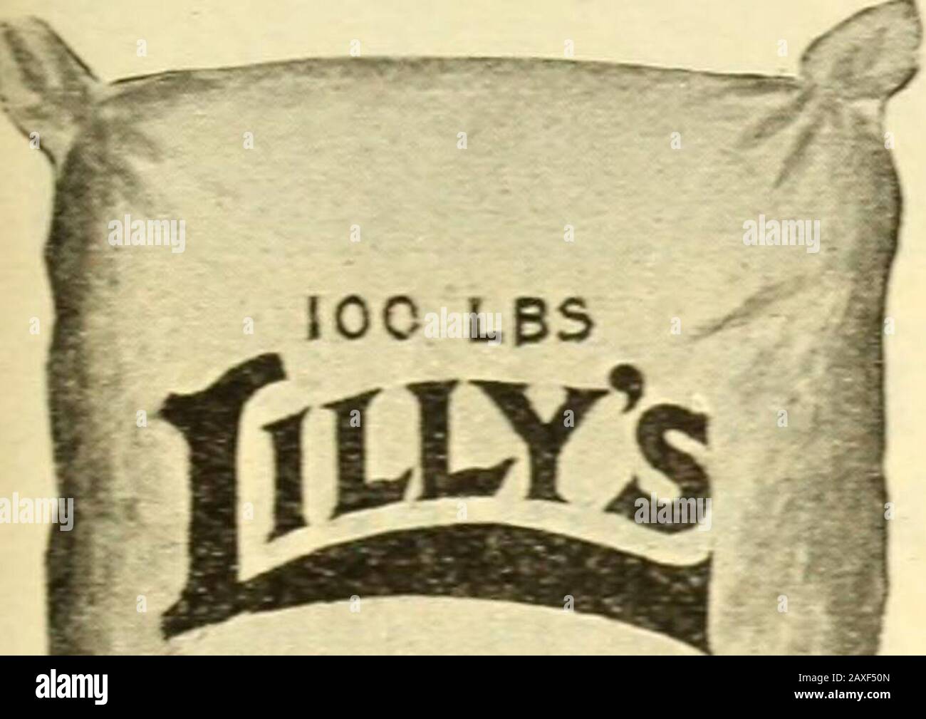 Lillys komplettes Jahr: Saatgut Düngemittel Spray Materiels Geflügel liefert Vorräte Lebensmittel Bienen Vorräte. UtgrownChick Food, und es ist nicht mehr ein profitables Futter, aber sie sind nicht alt genug für eine Erwachsene Ration. In diesem Stadium haben wir Lillys GrowingFood und Lillys High Protein Growing Mash, die in Verbindung gefüttert werden sollen, und werden Broilersor erzeugen, die Pullets in der geringstmöglichen Zeit und zu minimalen Kosten legen. Die praktischen Geflügelhalter wissen, wie wichtig das ist und dass ihre Gewinne davon abhängen. Die Wachsende Masche ist ein Speisenfutter und soll dort aufbewahrt werden, wo die Küken helfen können, sich zu bewegen Stockfoto