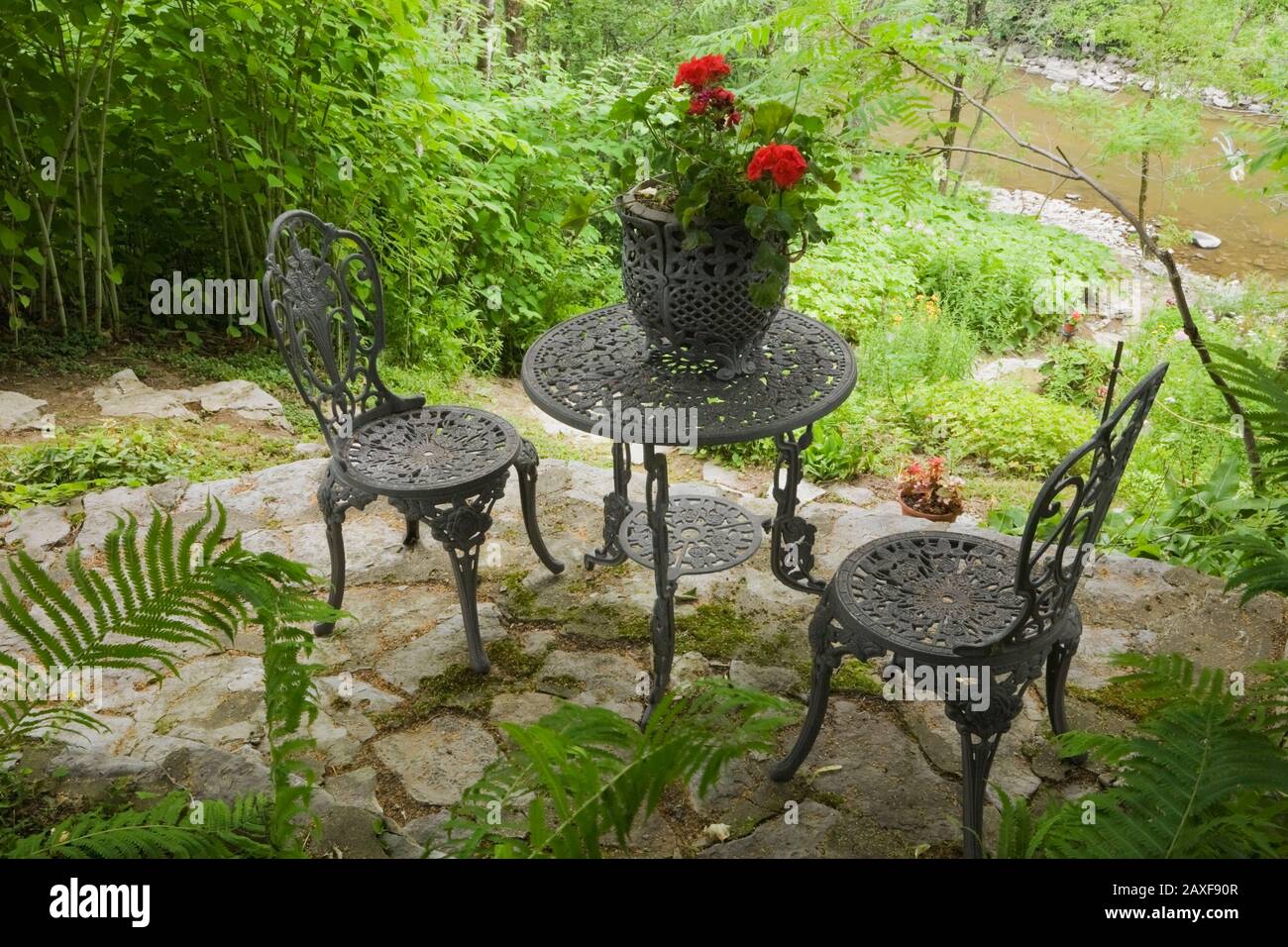 Dunkelgraue Bistro-Stühle aus Gusseisen und Tisch mit Pflanzmaschine aus rotem Pelargonium - Geranien und Pteridophyta - Farnpflanzen. Stockfoto