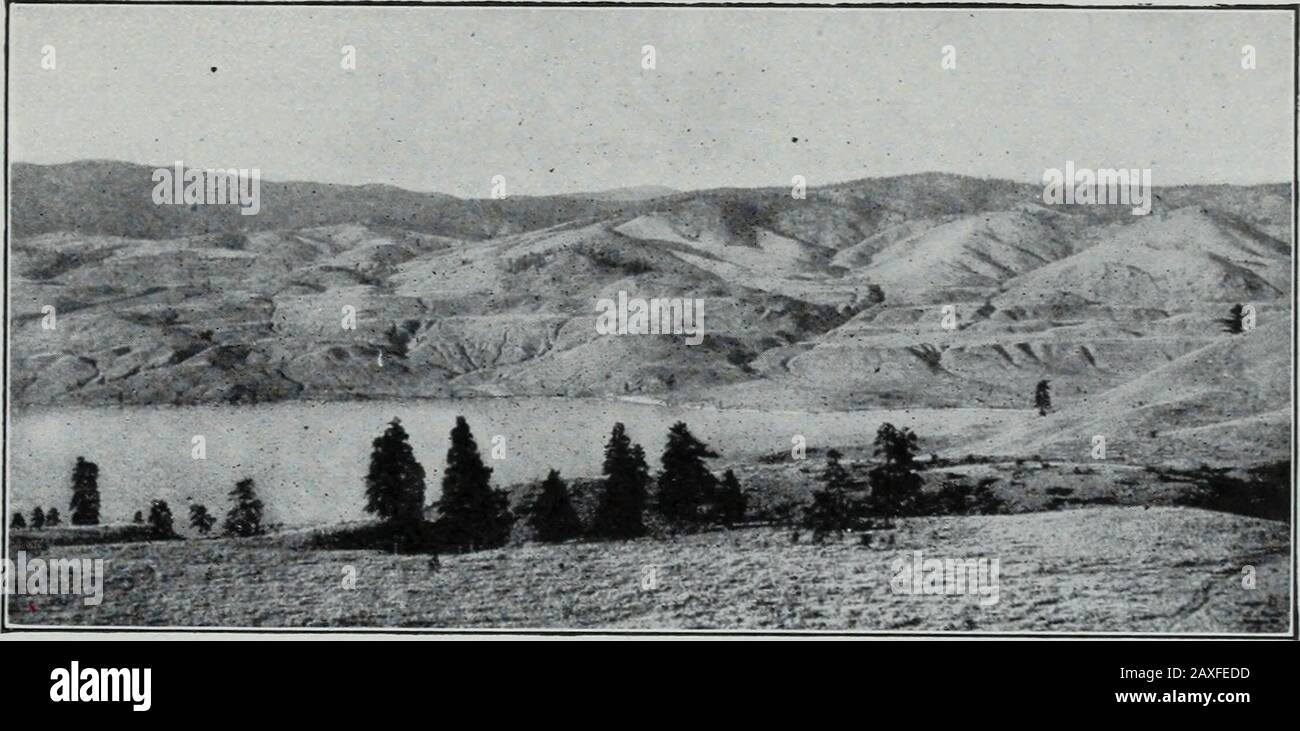 Geologie . Abb. 552.-Gletscherseen im oberen Ende eines Gletschertals (Cirque); in der Nähe des Kopfes von Commodore Gulch. Silverton, Colo., Viereck. (R. T. CHAMBERLIN.) DIE PLEISTOZÄNE ODER GLAZIALE PERIODE. 471 Vergletscherungen waren umfangreich, die Entwässerung war häufig, und Ablagerungen von Glazio-Lacustrin-Ton, Hunderte von Fuß tief, sind an einigen Stellen knallig. Wo solche Ablagerungen in schmalem Valleyssow abgelassen wurden, wurden sie teilweise abgetragen, und ihre Reste kontrierte Terrassen. Topografische Unkonformität.1-Vergletscherung im Westen war auch für eine Phase der Topografie, die der Spezifikation würdig war, respon-sible Stockfoto