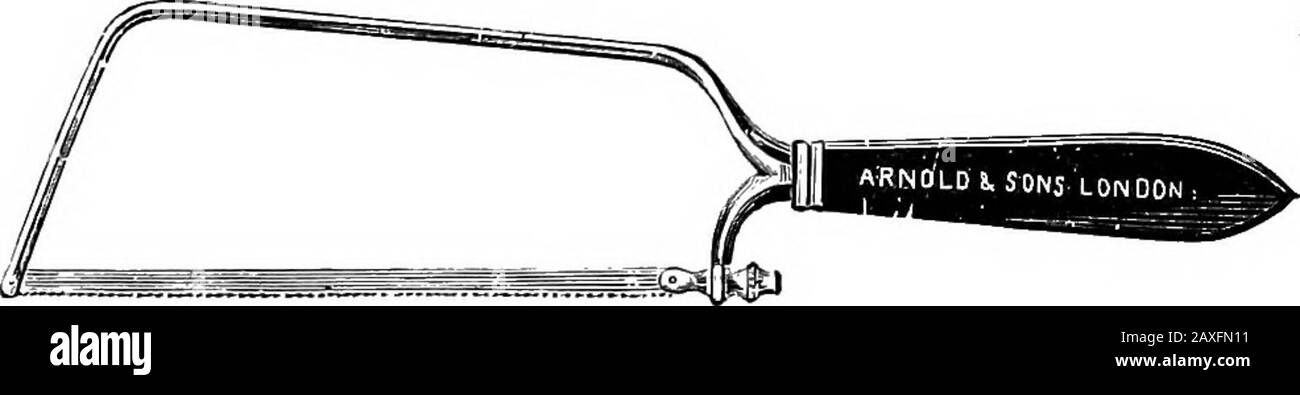 Hunde- und Felgenchirurgie .. . Ergebnisse. Der kreisförmige Einschnitt erfolgt mit einem Durchlauf der 138 HUNDE- UND FELGENOPERATIONEN. Messer um die Extremität herum, die Klappenmethode wird durch Einschneiden der Haut in Form eines Keilfilters durchgeführt. Die Haut ist nach hinten gespritzt und die Muskeln werden ähnlich behandelt, wobei sie vom Knochen abgespalten werden, um Letzteres so hoch wie möglich zu belichten. Thebone wird dann mit einer Säge entfernt. Wird das scharf geschlürte Amputationsmesser verwendet, so wird der Punkt abwechselnd auf jeder Seite des Beins durch die Haut und die Muskeln gedrückt, und die Klappe wird durch zwei schnelle, nach unten gerichtete Schnitte gebildet. Abb. 72.Amputati Stockfoto