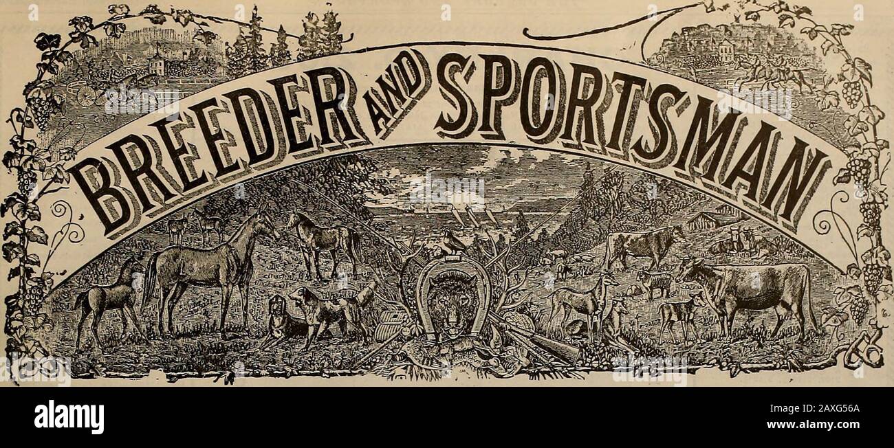 Züchter und Sportler . 96,77 Prozent. Die Interstate Associations Official Seasons Average - das höchste, Das Jemals Aufgezeichnet wurde - von C. G. Spencer aus St. Louis, Mo., Witha Winchester Wiederholt Shotgun und Winchester Leader und Repeater Shells. Mr. Spencers Gun war die übliche Marke von 27,00 US-Dollar, wie sie von allen Händlern getragen wird. Er schoss auf 11.175 Ziele und erzielte 10.815. IG? Für FIELD and TRAP SHOOTINGHold All The Best Records None So Gut GETRAGEN VON DER BESTEN HANDELSSCHMELZE & LEAD CO., San Francisco. ,-,. VOLUMEN LIV. Nr. 11. SAN FRANCISCO, SAMSTAG, 13. MÄRZ 1909. Abonnement: 3,00 Usd Pro Jahr. Stockfoto