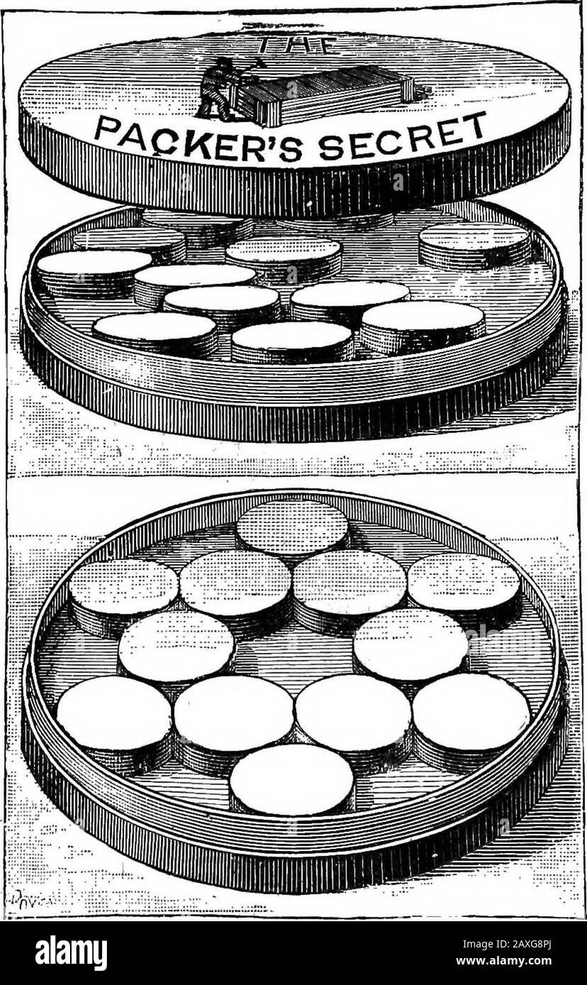 Wissenschaftliche Unterhaltung . ual zu i* minus i; mit fünf Buchstaben ist es gleich 2^, die durch eine Einheit verringert werden, und so weiter. Die gleiche Regel gilt für die Buchstaben "Withight" oder "Eight Discs"; 2* die von einer Einheit minierte Zahl entspricht/2X4V EIN Turm mit Bandscheiben würde die gleiche Anzahl an Platzierungen//mj I erfordern, oder was ist dasselbe - 2-i. d., das sind 5 13 Bewegungen usw. Der Turm von Hanoi erinnert uns an das Ringpuzzle, das in einem Band erscheint, den wir mit dem Titel Mathematical Recreations von Mr.Edward Lucas, Professor am College of St. Louis, erwähnt haben. Diese Erinnerung kommt Stockfoto