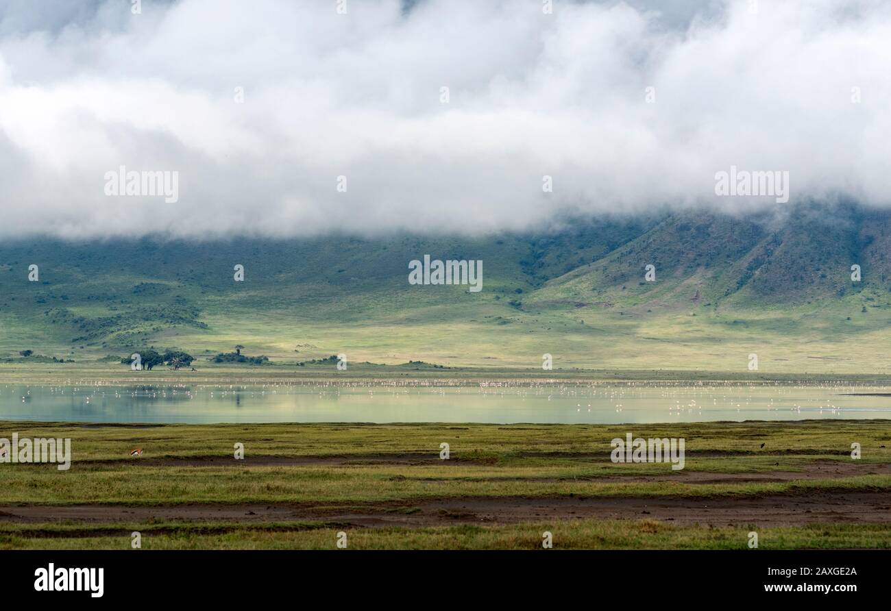 Die Landschaft des schönen Weltkulturerbes verzeichnet Ngorongoro Krater Conservation Area. Stockfoto