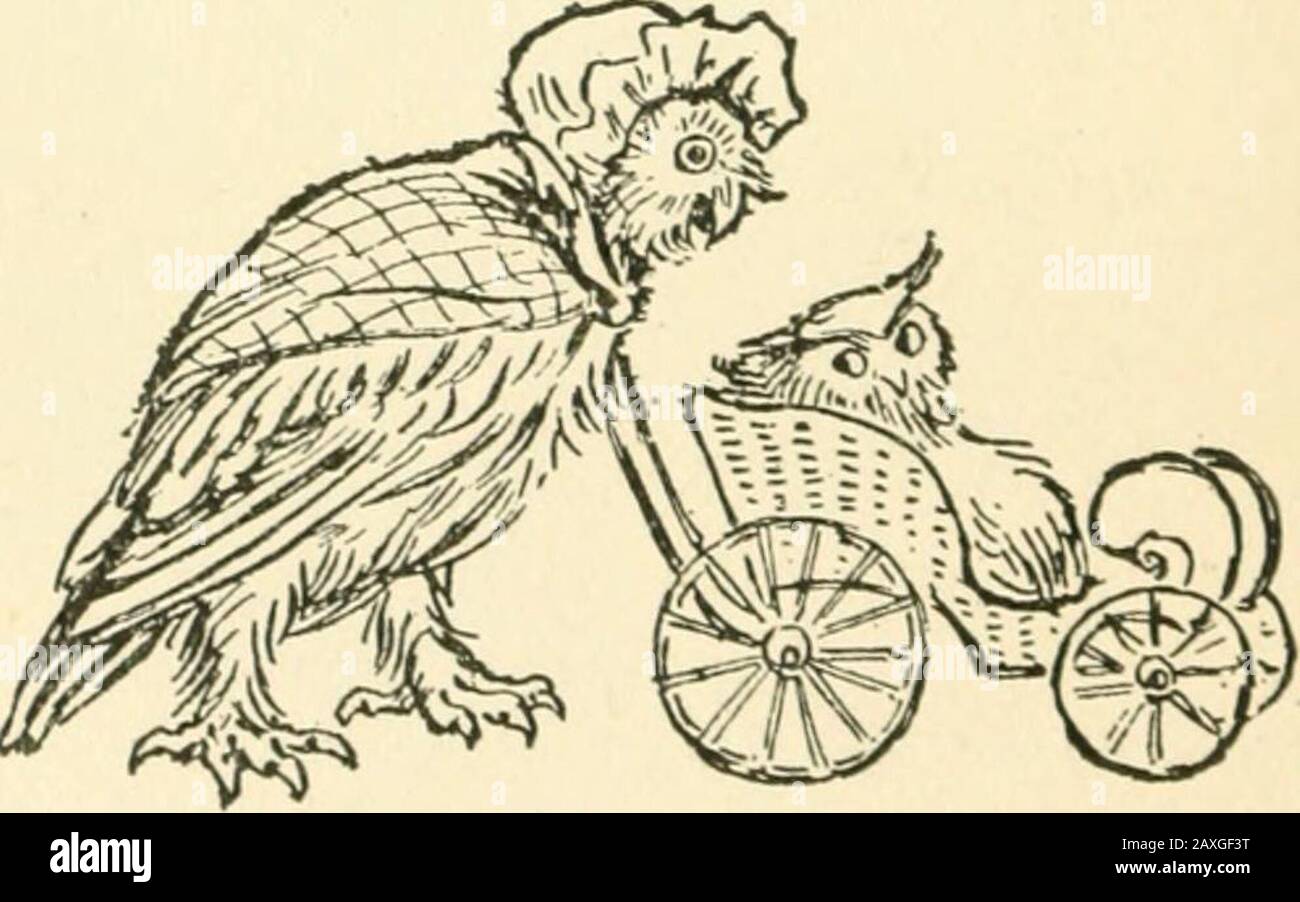 Die Abenteuer von Prinz Prigio und seinem Sohn, Prinz Ricardo. S anda Frontispiece in Farben von J.Watson Davis. Handsome Clothbinding. Preis, 50 Cent. Eine Liste Der BrownOwls Stories The Brown Owl stellt ihm-self-Vhenthe BrownOwlscousinwas a policist-When Mr.Owl raubte den Esel-When The Brown Owl was Sad-MamaSpeckle s Mistake-When Billyran away-When Sammy Weascross-When the Monkey Swing with the Fox-When Mrs Molearnew to the Catch. Wie die Taube den Falken dumm machte - Die Tiermücke - EIN Unruhesomelover - Nachdem Johnny im Zirkus gewesen war - wie König Kile seine Krone verlor Stockfoto