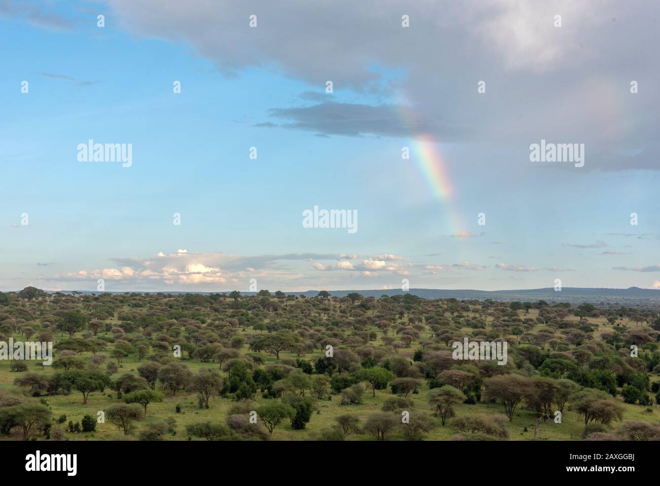 Schöner Regenbogen und dramatischer Himmel mit Blick über die Ebenen des Tarangire National Park Stockfoto