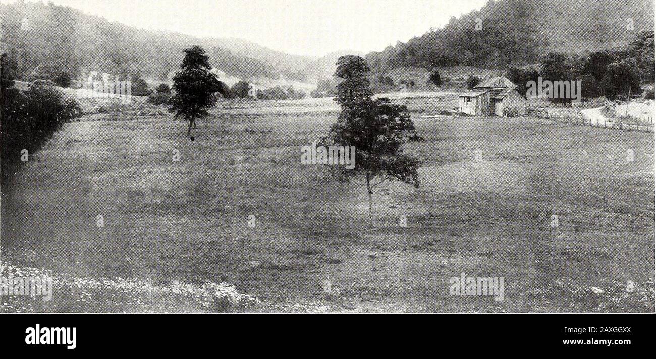 Die Wildnis Road nach Kentucky: Ihre Lage und Ausstattung. Die alte Quelle am Blockhaus 91. Carters Valley, Blick nach Osten vom Block House. Die alte Straße nach Virginia und Pennsylvania auf der rechten Seite Die Detaillierte Lage des Boad [95] Valley an einem Punkt, an dem sich die Hügel zu einem Tal öffnen, das eine halbe Meile breit und eine Meile lang ist. Dieses kleine Tal ist heute ein Wiesengelände mit bewaldeten Hügeln. Der Ort ist ein angenehmer Ort in einem rauhen Land. Die Lage des Forts selbst wurde, wie immer bei den Thesestationen, durch die Anwesenheit eines guten Frühlings bestimmt. Das Fort stand auf einem kleinen Hügel über der Quelle Stockfoto