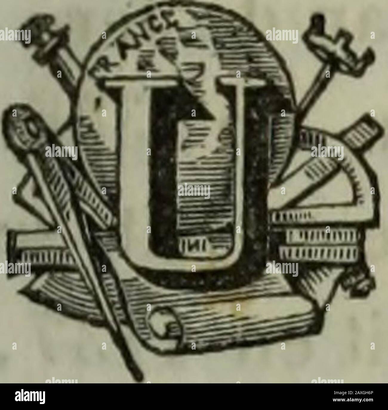 Histoire de Lille et de la Flandre wallonne. Tinques, Tilques, Bilques, Disques, Wisqucs etBienques. (4) Voyez, pour plus de détails, la Notice sur le royaume des Estimaux, PARM. Le docteur Le Glay dans les Mémoires de la Société royale des Sciences Delille: 1858. 2.e-Partie, Seite 548.. Las Dragons de la Flandre. 53 VI CONSIDÉRATIONS ZOOLOGIQUES. Ne terre comme la Flandre, sortant des eaux et ensuite lais-sée à elle-même, devait contenir des lagunes, des landes, desforêts et tous les animaux qui y cherchent ordinairementleur asile. Nous avons parlé des uns; disons quelques mots des autres. Stockfoto