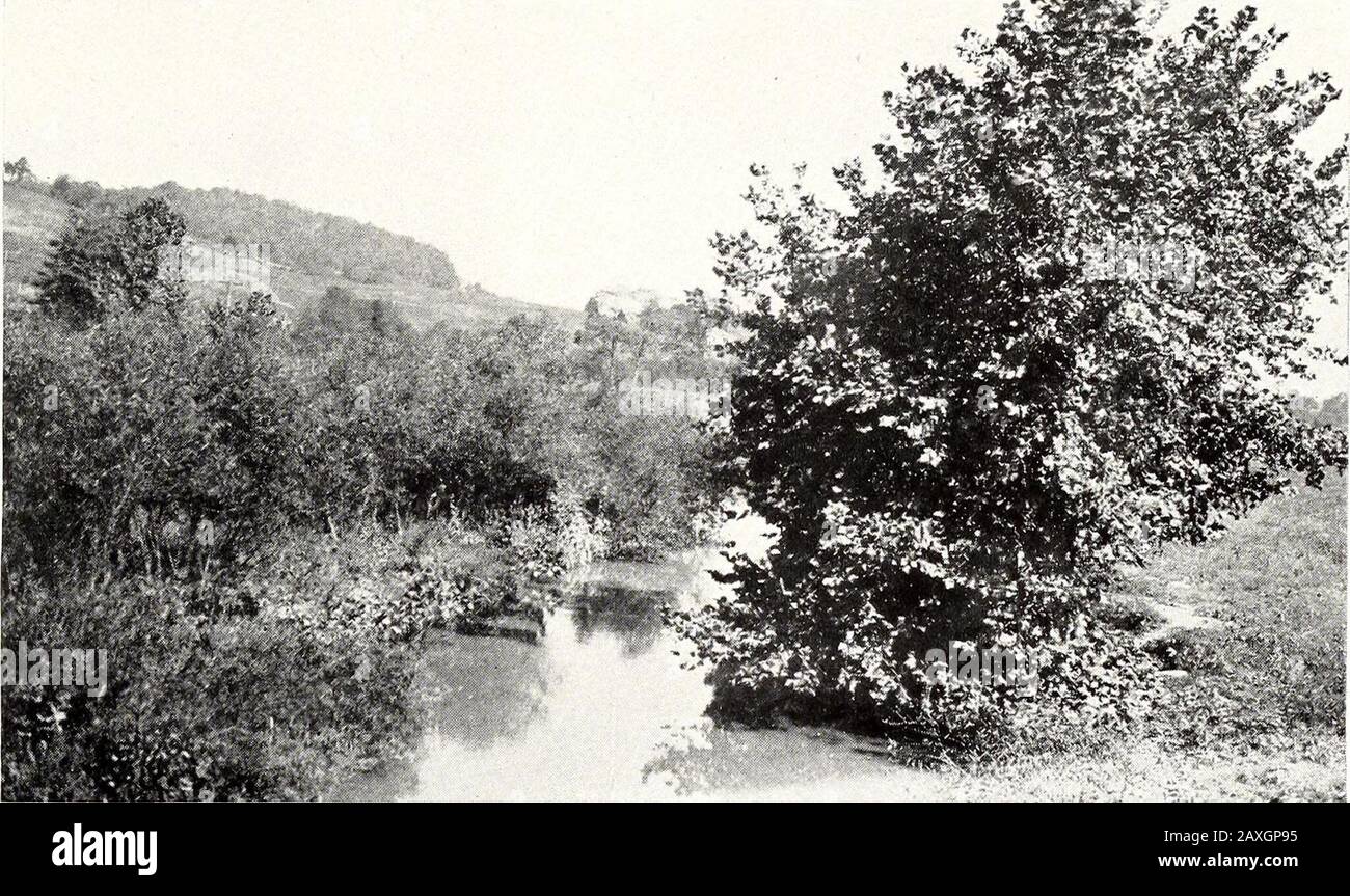 Die Wildnis Road nach Kentucky: Ihre Lage und Ausstattung. Long Island (auf der linken Seite) und der Holston in Flut. Kingsport an der Einmündung des Reedy Creek in der Ferne rechts Philadelphia nach Bristol, Tenn., folgen Sie für fast ihre gesamte Länge dieser alten Pionierstraße. Die andere Straße von Richmond verlief fast direkt westwärts durch Chesterfield, Powahatan, Cumberland, Buckingham, Ap-pomattox, Campbell und Bedford Counties, überquerte den BlueRidge bei Blue Ridge Gap in Bottecourt County und treffe Theroad aus dem Shenandoah Valley bei Big Flat Lick, (Roanoke) oder wo Salem heute steht. Fort Chiswell Stockfoto