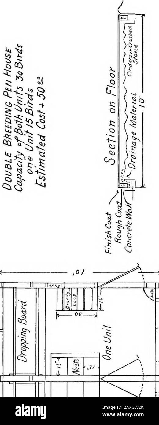 Hygiene und Hygiene in der Geflügelkultur. Abb. 71.-Der rechteckige Gitterdraht und der beste für Geflügelzäune. Der Boden sollte wie folgt aufgebaut sein: (1) 10 Zoll Bindemittel oder zerkleinertes Gestein und Kamp gut einlegen. Thissorgt für Entwässerung und hält das Wet von der Oberseite des Fußbodens fern. (2) 4 Zoll grober Beton platzieren, so dass ein Siebtel Zement hergestellt wird. (3) Auf einen Deckmantel legen, der aus einem Zement und zwei Teilen Sand besteht. Trowel aus Smoothand macht Ratte an allen Stellen sicher. Im folgenden finden Sie eine Liste der Materialien, die für die Herstellung des 40 mal 20-Doppel-Systemhauses benötigt werden. DER CONSTKT Stockfoto